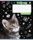 Тетрадь 24л. лин., обл. мелов., Ушки на макушке, Хатбер, (10/100) 24Т5В2