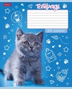 Тетрадь 24л. лин., обл. мелов., "Ушки на макушке", Хатбер, (10/100) 24Т5В2