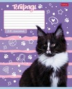 Тетрадь 24л. лин., обл. мелов., "Ушки на макушке", Хатбер, (10/100) 24Т5В2