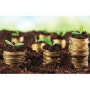 Календарь настенный квартальный 2024г. "Денежный антикризисный" 3-х блочный на 3-х гребнях 13с14-265