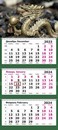 Календарь настенный квартальный 2024г. Символ Года. Бронзовый дракон 3-х блочный на 3-х гребнях 13с14-261