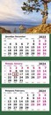 Календарь настенный квартальный 2024г. Байкальская сосна 3-х блочный на 3-х гребнях 13с14-167/1201168