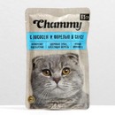 Влажный корм Chammy для кошек, лосось/форель в соусе, пауч, 85 г   3182687 3182687    