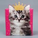 Коробка складная «Котик», 25 х 25 х 10 см 9238368 9238368    