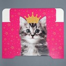 Коробка складная «Котик», 25 х 25 х 10 см 9238368 9238368    
