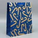 Пакет подарочный «Новогоднее настроение» 32 ? 26 ? 10 см   9750226 9750226    