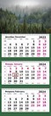 Календарь настенный квартальный 2024г. "Туманный лес" 3-х блочный на 3-х гребнях 13с14-255