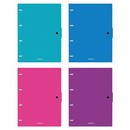 Тетрадь общая с пластиковой обложкой на кольцах ErichKrause Glance Vivid, ассорти, А4, 80 листов, клетка, на кнопке 080339059-53147