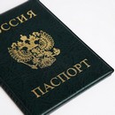 Обложка для паспорта 9,5*0,5*13,5см,  герб, зеленый   5195447 5195447    