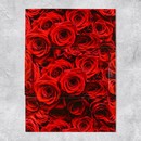 Конверт для денег «С  Юбилеем», розы,  19 ? 0,7 ? 9,5 см   9404877 9404877    