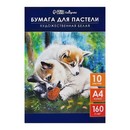 Бумага для пастели в папке А4 10л 160г/м2, белые листы 9699622 9699622    