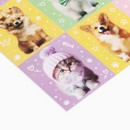 Наклейки бумажные «Котики и пёсики», c раскраской, 11 ? 15,5 см      10423705 10423705   