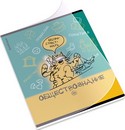 Тетрадь общая ученическая с пластиковой обложкой на скобе ErichKrause Котоформулы, Обществознание, 48 листов, клетка 048055254-62534