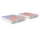 Тетрадь общая ученическая с пластиковой обложкой на скобе ErichKrause Котоформулы, Информатика, 48 листов, клетка 048055254-62536