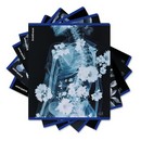 Тетрадь общая ученическая ErichKrause Flower Ray, 48 листов, клетка, металлизированный голографический картон_MIX-PACK 048015154-63314