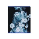 Тетрадь общая ученическая ErichKrause Flower Ray, 48 листов, клетка, металлизированный голографический картон_MIX-PACK 048015154-63314