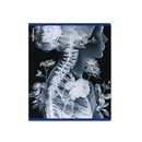 Тетрадь общая ученическая ErichKrause Flower Ray, 48 листов, клетка, металлизированный голографический картон_MIX-PACK 048015154-63314