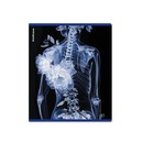 Тетрадь общая ученическая ErichKrause Flower Ray, 48 листов, клетка, металлизированный голографический картон_MIX-PACK 048015154-63314