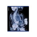 Тетрадь общая ученическая ErichKrause Flower Ray, 48 листов, клетка, металлизированный голографический картон_MIX-PACK 048015154-63314