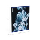 Тетрадь общая ученическая ErichKrause Flower Ray, 48 листов, клетка, металлизированный голографический картон_MIX-PACK 048015154-63314