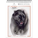 Блокнот для зарисовок "Sketchbook" на гребне, А4, 300 г/м2, акварельная хлопок 100%, 12л., CLASSIC FORMAT 300, Полином 3224