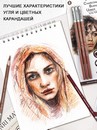 Набор угольных карандашей жженая умбра Acmeliae 3шт в блистере TCP-01
