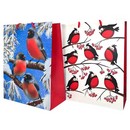 Пакет ламинированный СНЕГИРИ 26*32 , 210гр/м2, Centrum 71379