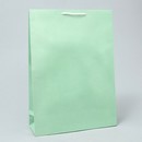 Пакет ламинированный Green, L 28 х 38 х 9 см      10074184 10074184   
