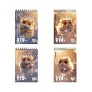 Блокнот на спирали фА6 60л. кл., "Fluffy" ассорти, Erich Krause  060620154-63382