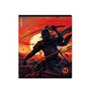 Тетрадь 48л. кл., обл. мелов., " Samurai" матовая ламинация+выборочный УФ-лак, MIX-PACK, ErichKrause (5/100) 048019854-63312
