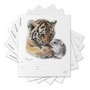 Тетрадь 12л. кл., обл. мелов., "Little Cuties", ErichKrause (10/280) 012010154-63236