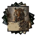 Тетрадь 24л. лин., обл. мелов., Stay Wild, ErichKrause 024010154-63278