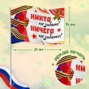 Карнавальный набор "Мы помним, мы гордимся!" р-р 42-54, дождевик, флажок   10103647 10103647   