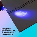 ЭВРИКИ Ручка шпиона "Космос", ручка и блокнот   7816787 7816787    