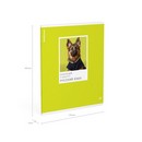 Тетрадь общая ученическая ErichKrause DogTone, Русский язык, 48 листов, линейка, выборочный УФ-лак 048019854-63347