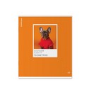 Тетрадь общая ученическая ErichKrause DogTone, Геометрия, 48 листов, клетка, выборочный УФ-лак 048019854-63350