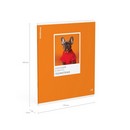 Тетрадь общая ученическая ErichKrause DogTone, Геометрия, 48 листов, клетка, выборочный УФ-лак 048019854-63350