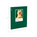 Тетрадь общая ученическая ErichKrause DogTone, Биология, 48 листов, клетка, выборочный УФ-лак 048019854-63353