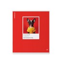 Тетрадь общая ученическая ErichKrause DogTone, Литература, 48 листов, линейка, выборочный УФ-лак 048019854-63348