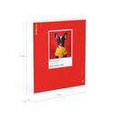 Тетрадь общая ученическая ErichKrause DogTone, Литература, 48 листов, линейка, выборочный УФ-лак 048019854-63348