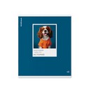 Тетрадь общая ученическая ErichKrause DogTone, История, 48 листов, клетка, выборочный УФ-лак 048019854-63357