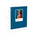 Тетрадь общая ученическая ErichKrause DogTone, История, 48 листов, клетка, выборочный УФ-лак 048019854-63357