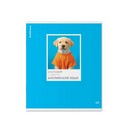 Тетрадь общая ученическая ErichKrause DogTone, Английский язык, 48 листов, клетка, выборочный УФ-лак 048019854-63359