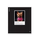 Тетрадь общая ученическая ErichKrause DogTone, Информатика, 48 листов, клетка, выборочный УФ-лак 048019854-63360