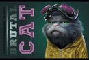 Альбом для рисования 24л. "Брутальные коты" стандарт 4+0+Твин лак, ПЗБФ (5/50) 043546