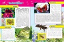 Атласы с наклейками фА4, "Насекомые и рыбы Европы", 32цв.стр.+накл., Алтей и Ко 9785993025476