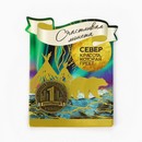 Монета "Север", диам 2 см   9194885 9194885    