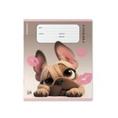 Тетрадь 18л. кл., обл. мелов., "Frenchie" выборочный УФ-лак, ErichKrause (10/200) 64834