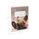Тетрадь 18л. кл., обл. мелов., "Frenchie" выборочный УФ-лак, ErichKrause (10/200) 64834