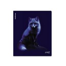Тетрадь 48л. кл., обл. мелов., "Indigo" ламинация soft-touch+выборочный УФ-лак_MIX-PACK, ErichKrause (5/100) 64867